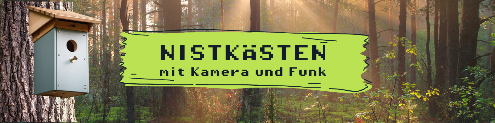 Nistkamera – Die Idee